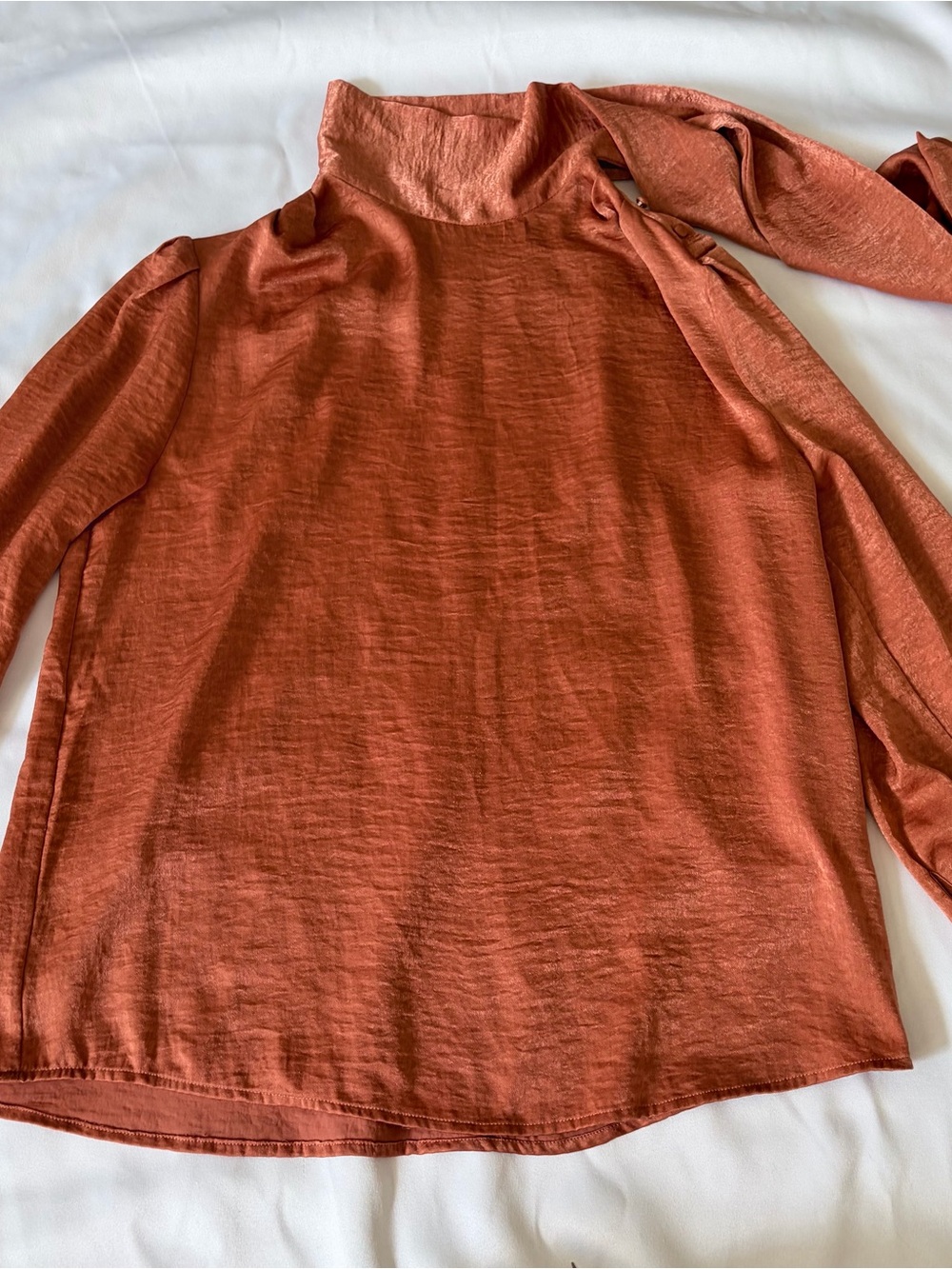 Banana Republic Rust-Orange Mock Neck Long Sleeve Top